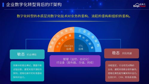 品高云龍?bào)K 賦能企業(yè)數(shù)字化轉(zhuǎn)型的工業(yè)互聯(lián)網(wǎng)數(shù)據(jù)服務(wù)與信息化架構(gòu)